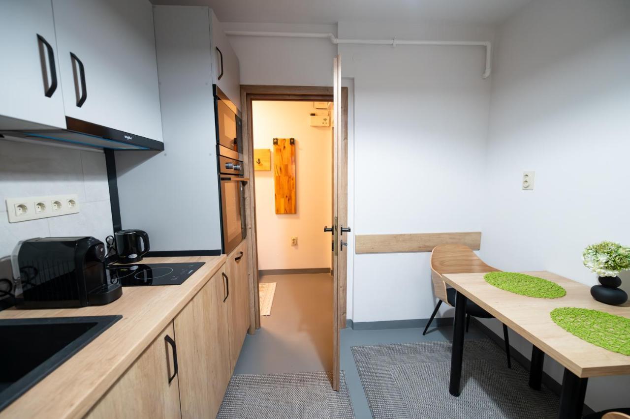 Fortuna Apartments Baia Mare Dış mekan fotoğraf