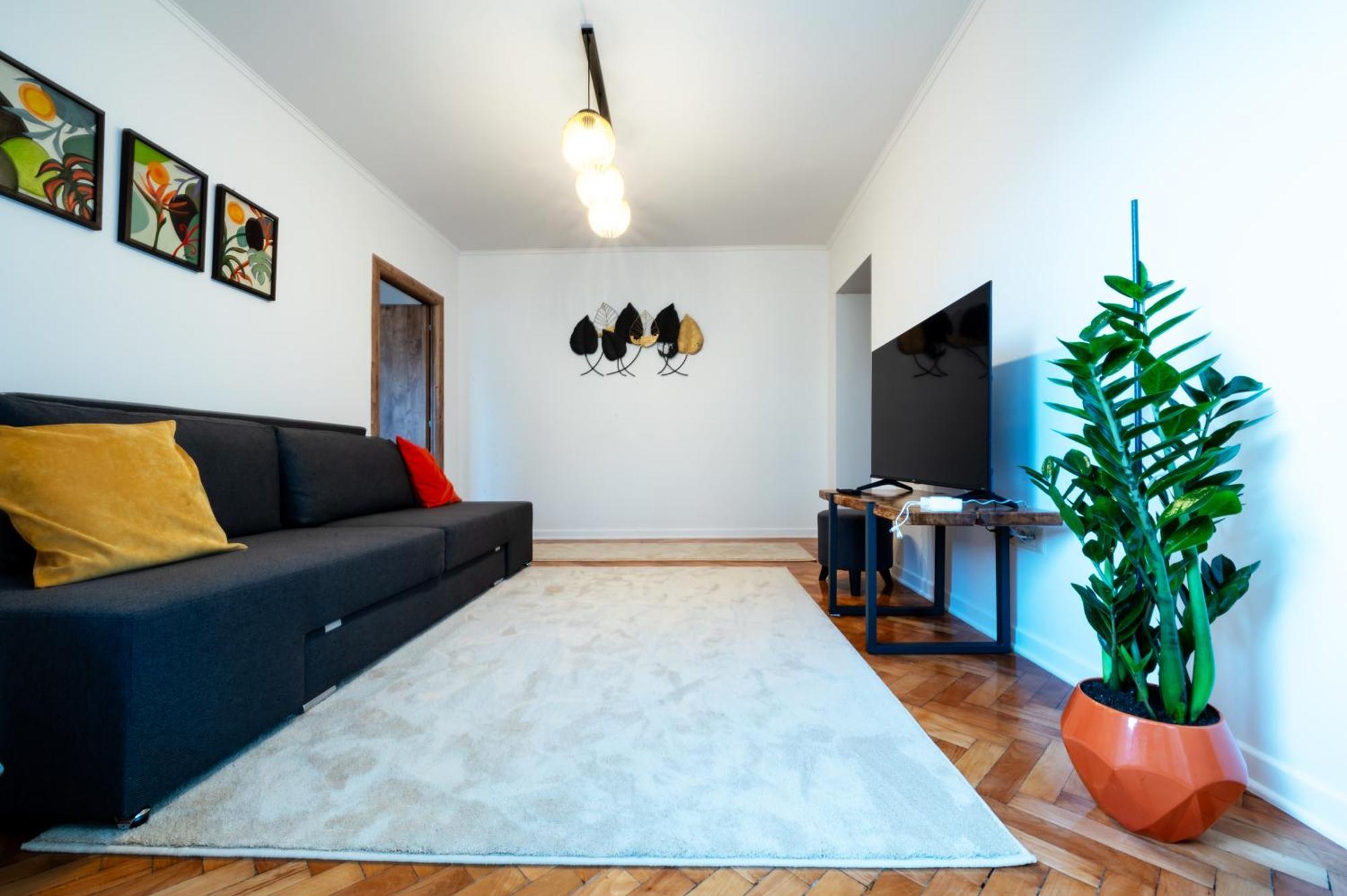 Fortuna Apartments Baia Mare Dış mekan fotoğraf